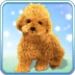 Talking Teddy Dog Android app icon APK