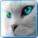 Cat Sounds Android-appikon APK